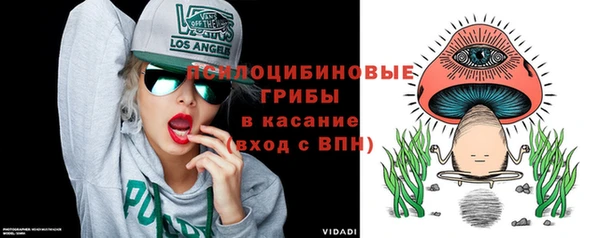 гидра Беслан