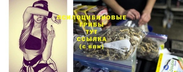 марки nbome Бородино