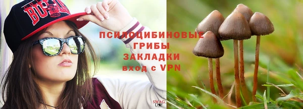 альфа пвп Билибино