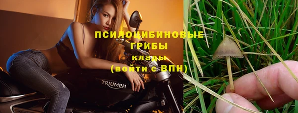 2c-b Бронницы